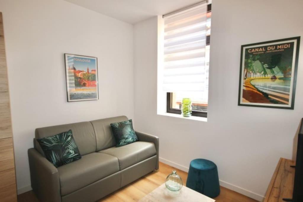 Apartament Au Gout Du Jour Climatise Tuluza Zewnętrze zdjęcie